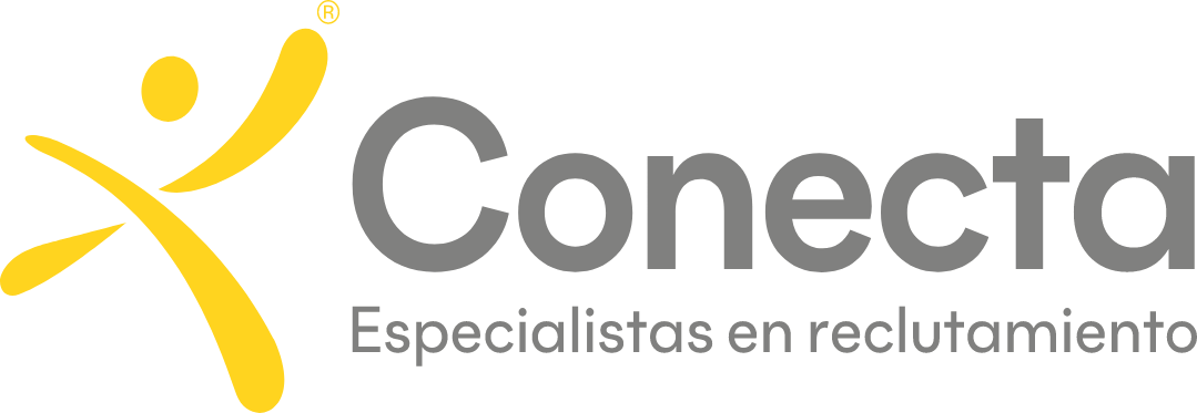 Soluciones Dinamicas - Conecta